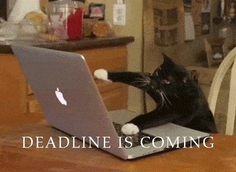 cat-deadline-is-coming-animated-gif